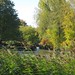 Eau vive